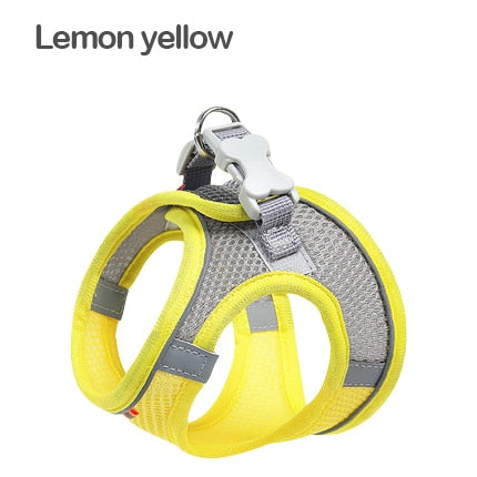 Lemon Yellow