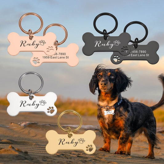 Personalized Pet Dog ID Tags Shiny Mirror