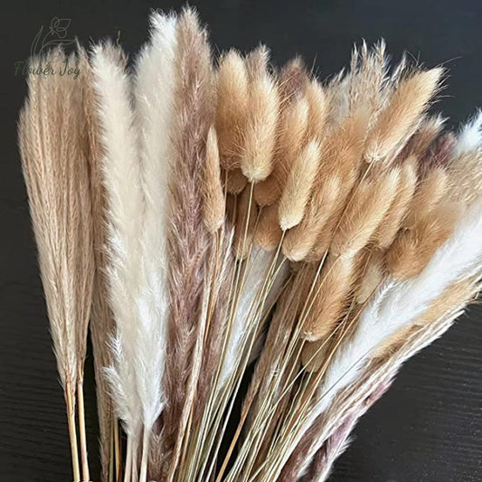 Fluffy Pampas Dried Flowers